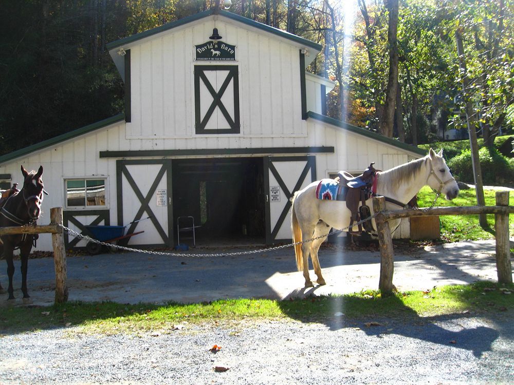 Valle Crucis Farm Exterior foto